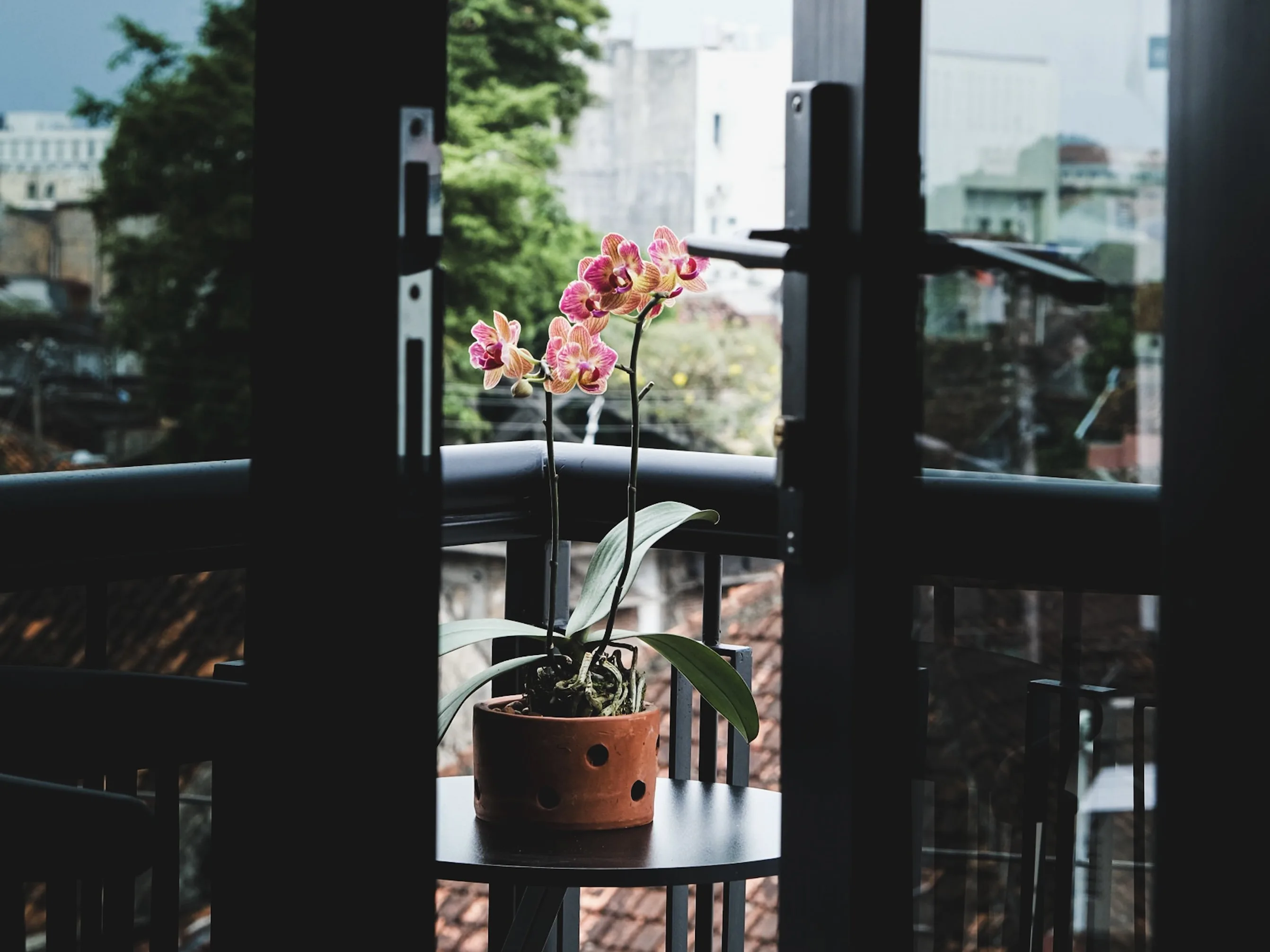 Kingston Hotels Yogyakarta