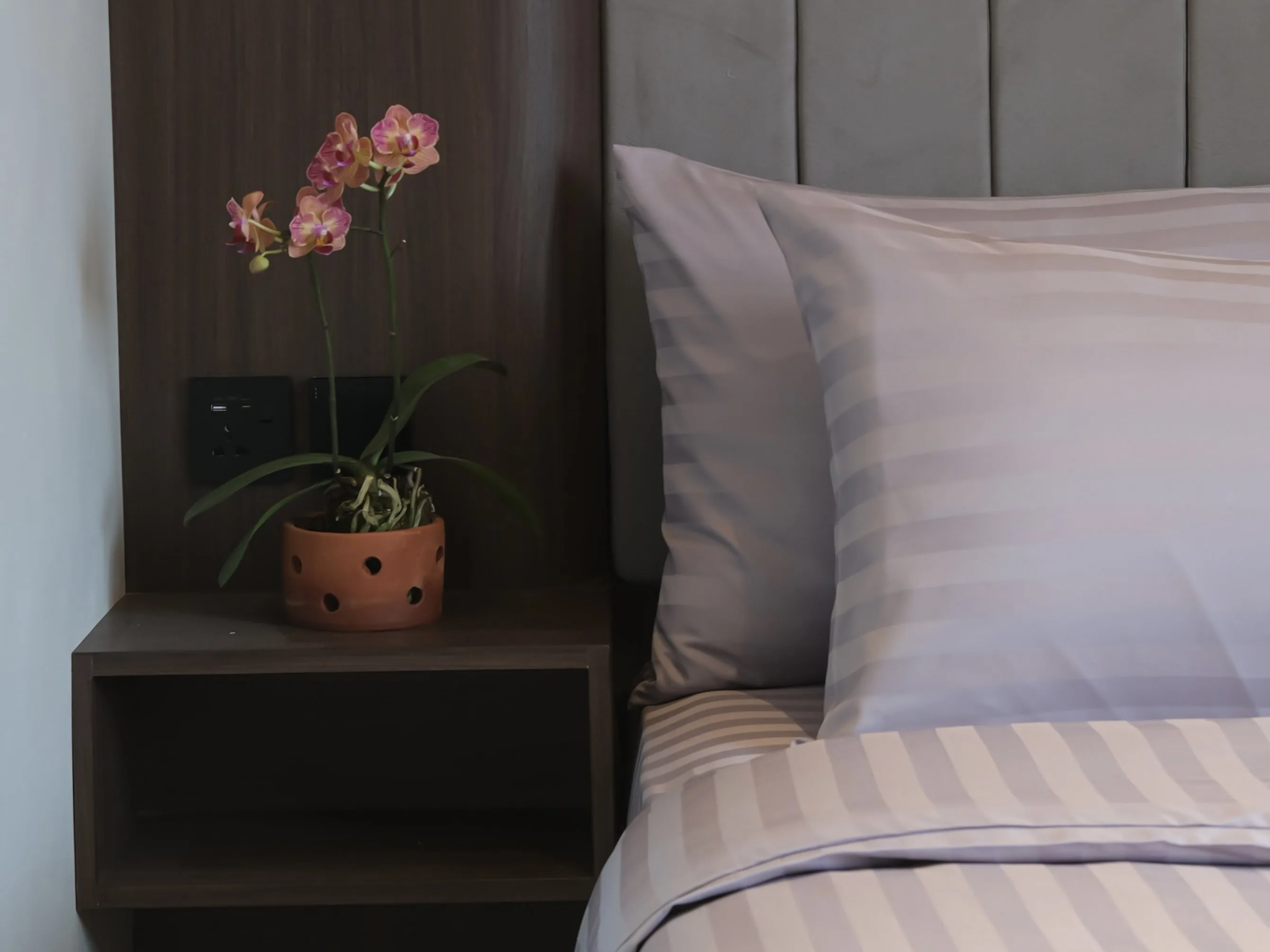 Kingston Hotels Yogyakarta